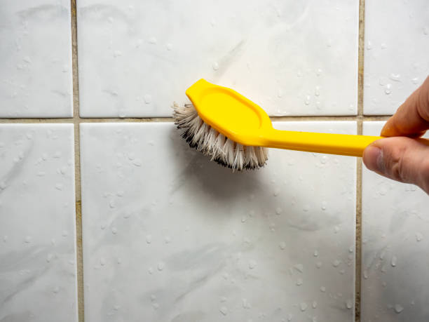 Best Local Mold Removal Service  in Thermalito, CA