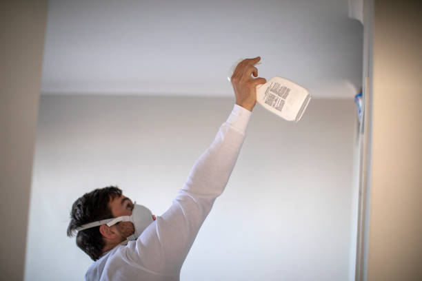 Best Toxic Mold Removal  in Thermalito, CA